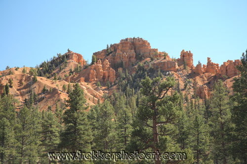 IMG_1791.jpg