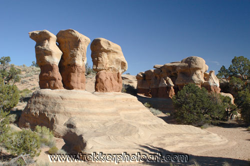 008IMG_0274.jpg